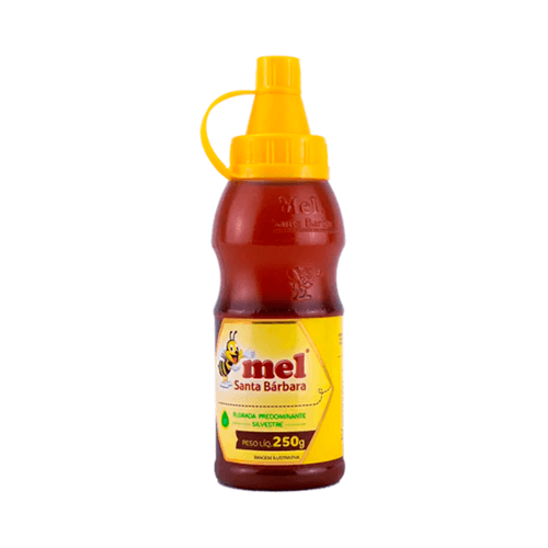 Mel Flor Silvestre Santa Barbara 250g